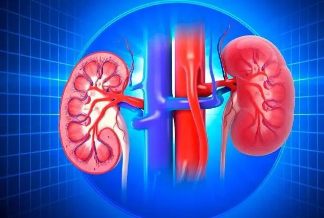 佛山治疗肾结石,佛山治疗肾结石医院,佛山治疗肾结石哪家医院好